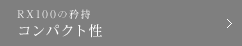 RX100 RpNg