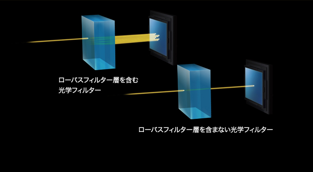 w[pXtB^[菜A|Iȉ𑜊