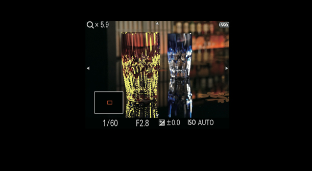 ȃsg킹T|[gMFAVXgƃs[LO