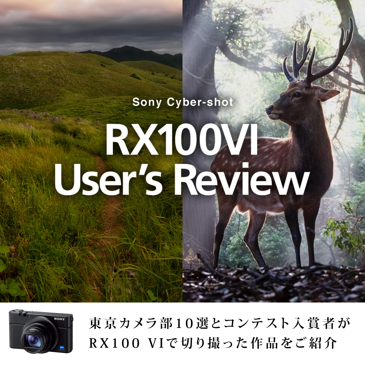 Sony RX100VI User's Review | デジタルスチルカメラ Cyber-shot サイバーショット |