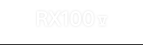 RX100V