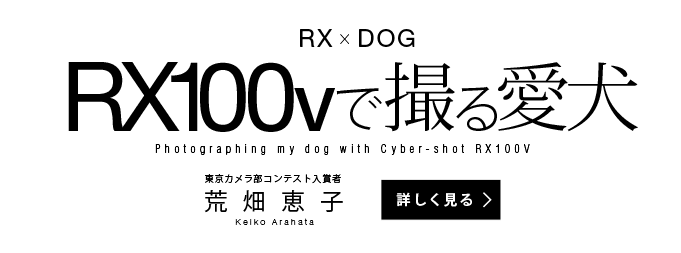 RX×DOG RX100Vで撮る愛犬　荒畑恵子