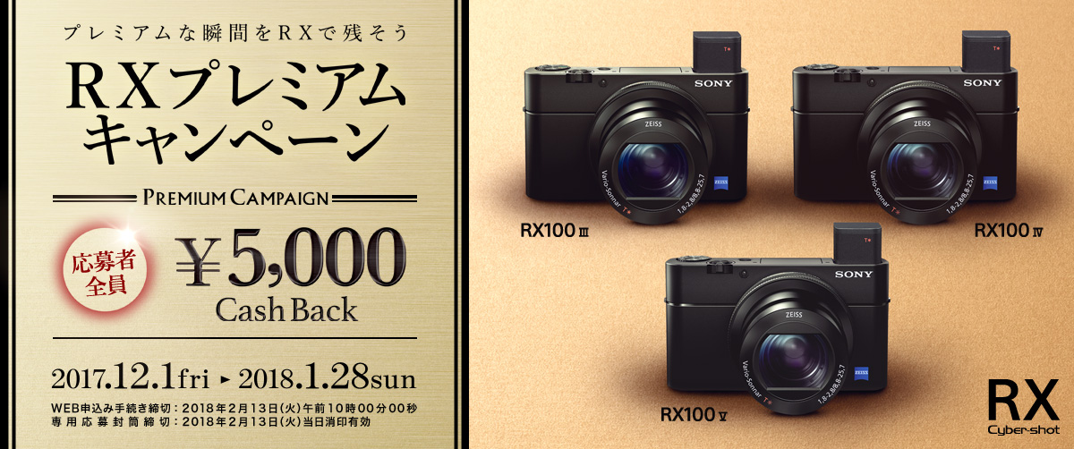 サイバーショットと一緒に買うとオリジナルアクセサリーがおトク