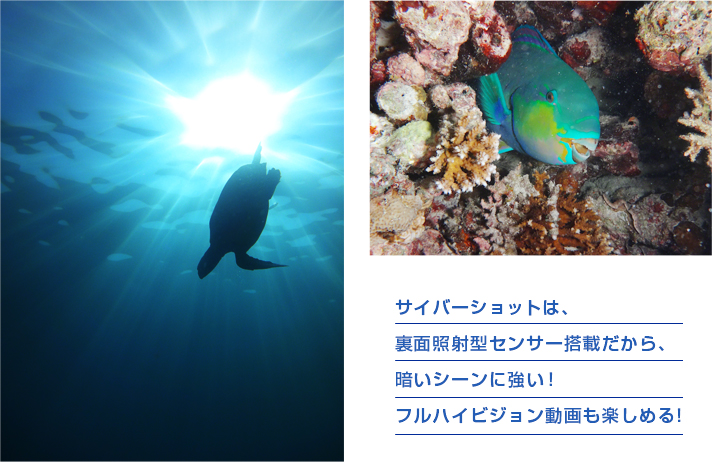 �T�C�o�[�V���b�g�́A���ʏƎˌ^�Z���T�[���ڂ�����A�Â��V�[���ɋ����I�t���n�C�r�W����������y���߂�I