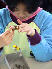 �܂��d���΂����܂�