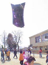 �~�j�G�A�h�[���Ń\�[���[�o���[��