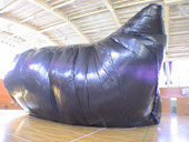 ����G�A�h�[���̒��ɂ݂�Ȃœ������I