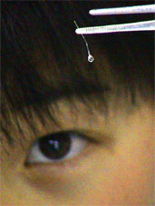 �ق�A�������Y���ł����I