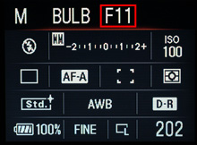 絞りをF11から16の間にする