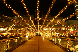 焦点距離: 11mm / F値: 16.0 / シャッター速度: 15秒