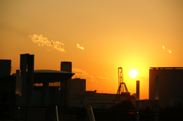 焦点距離: 105mm / F値: 5.6 / シャッター速度: 1/500秒