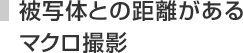 被写体との距離があるマクロ撮影