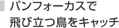 パンフォーカスで飛び立つ鳥をキャッチ