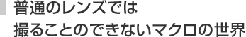普通のレンズでは 撮ることのできないマクロの世界