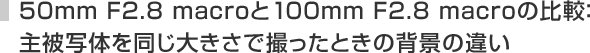 50mm F2.8 macroと100mm F2.8 macroの比較:主被写体を同じ大きさで撮ったときの背景の違い