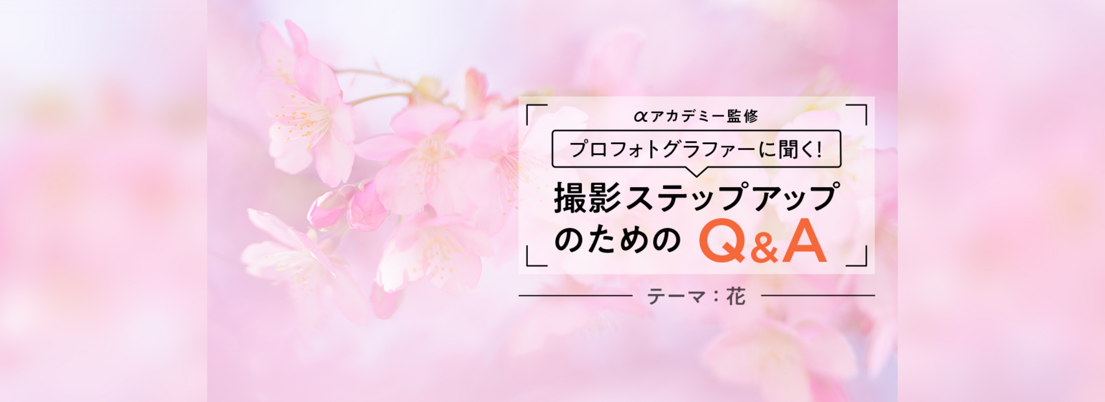 ソニーホームページに カメラ Q＆Ａ