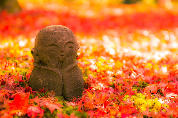 ���I�[�i�[�̊F�l���\�����ꂽ�g�t�i��cafe���j