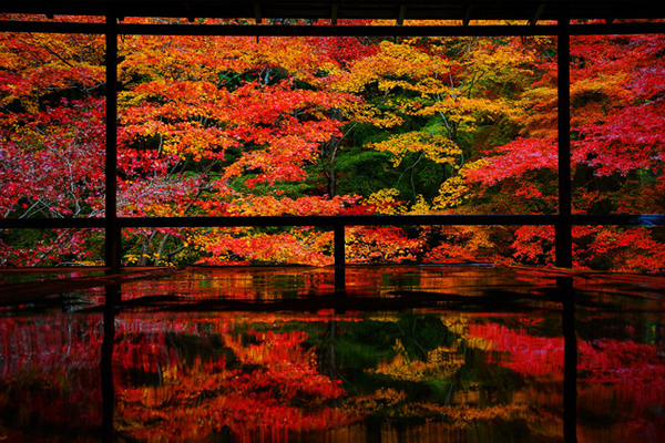 ���I�[�i�[�̊F�l���\�����ꂽ�g�t�i��cafe���j