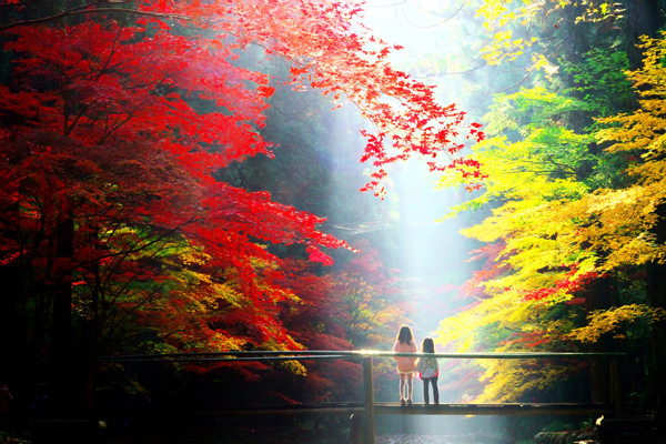 ���I�[�i�[�̊F�l���\�����ꂽ�g�t�i��cafe���j