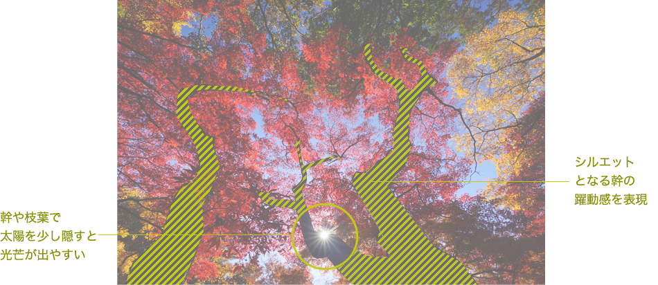 ����}�t�ő��z�������B���ƌ�䊂��o�₷�� �V���G�b�g�ƂȂ銲�̖�������\��