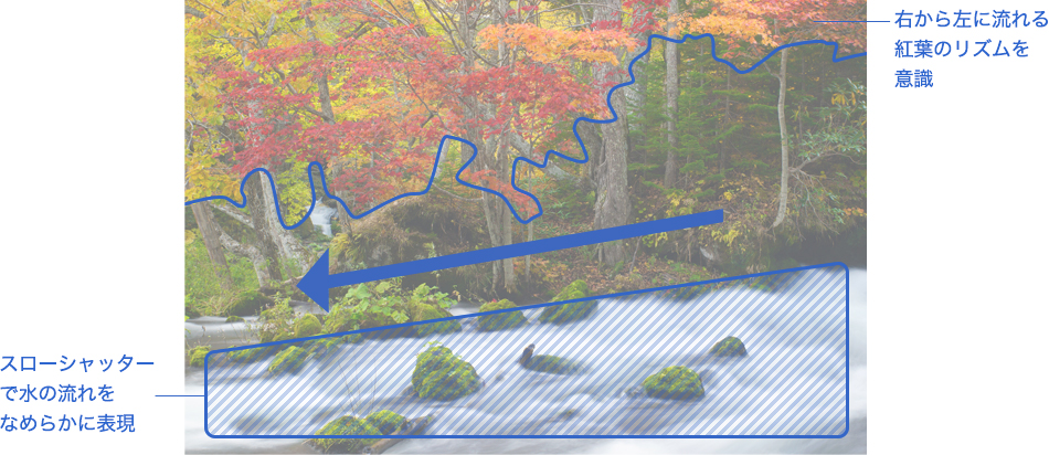 �E���獶�ɗ����g�t�̃��Y�����ӎ� �X���[�V���b�^�[�Ő��̗�����Ȃ߂炩�ɕ\��