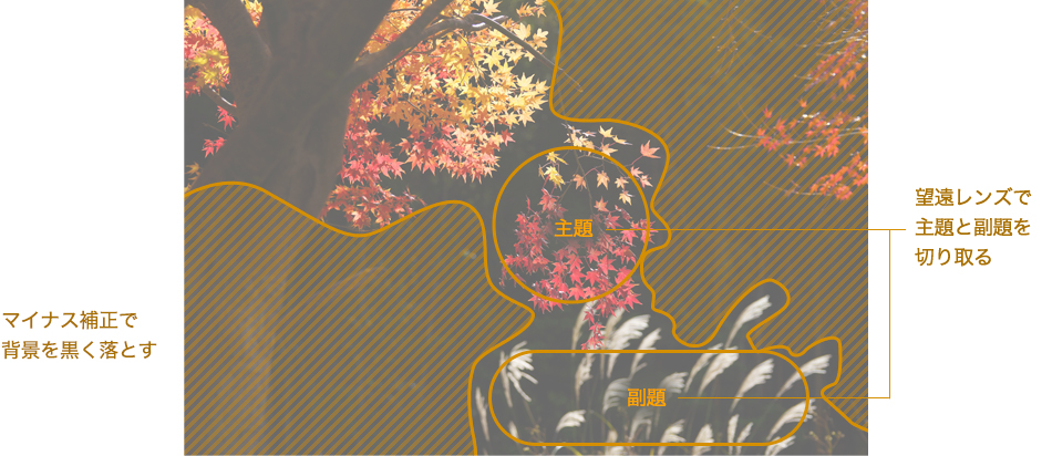 �}�C�i�X�␳�Ŕw�i���������Ƃ� �]�������Y�Ŏ��ƕ����؂���