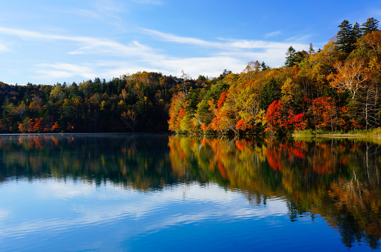 E 18-55mm F3.5-5.6 OSS�@�V���b�^�[���x1/50�b F�l10�@ISO���x200