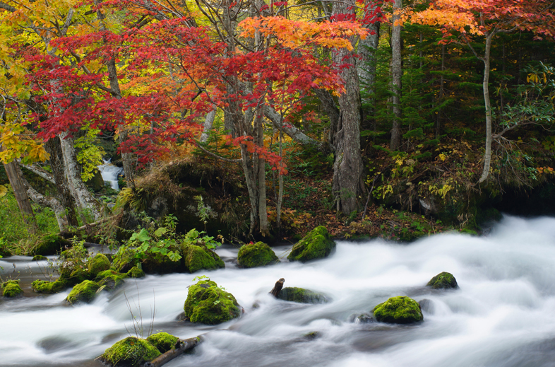 DT 16-50mm F2.8 SSM�@�V���b�^�[���x2�b�@F�l16�@ISO���x100