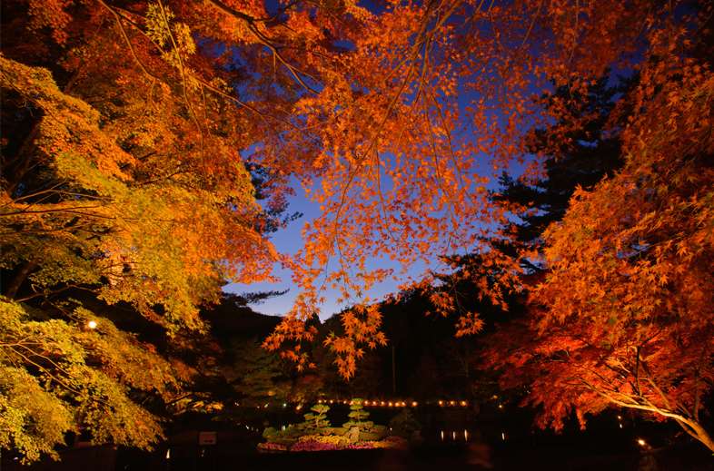 E 16mm F2.8�@�V���b�^�[���x5/6�b�@F�l8�@ISO���x200