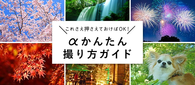 �����񂽂�B����K�C�h