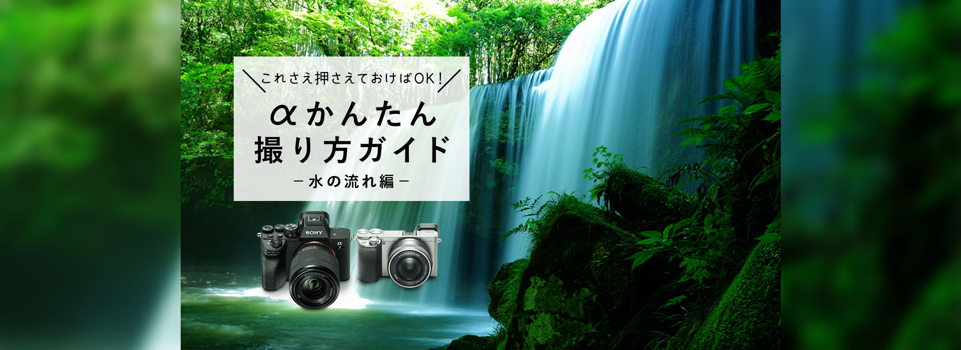 �����񂽂�B����K�C�h - ���̗����-