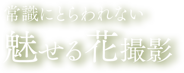 �펯�ɂƂ���Ȃ�������ԎB�e