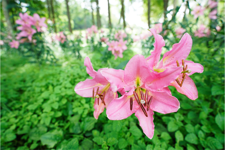 ��7R III,�@ Vario-Tessar T�� FE 16-35mm F4 ZA OSS,16mm,�@F4,�@1/250�b,�@ISO400