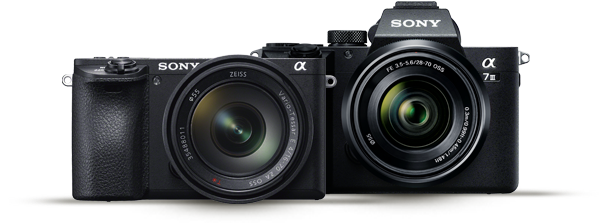 常識にとらわれない魅せる花撮影 ソニー