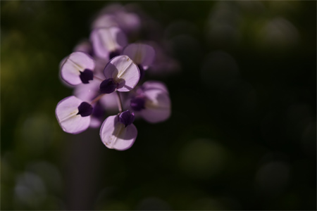 FE 90mm F2.8 Macro G OSS,�@90mm,�@F2.8,�@1/6400�b,�@ISO640,�@-2.0EV