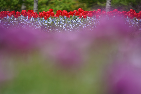 FE 70-200mm F2.8 GM OSS, 200mm,�@F4.0,�@1/4000�b,�@ISO400,�@�}0EV