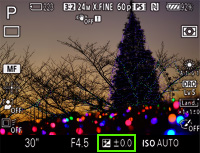 �Â��؂₩���Ɍ�����ꍇ�͘I�o�␳���u�{�v�Ɂ@�S�̓I�ɔ����ۂ��ꍇ�͘I�o�␳���u−�v��