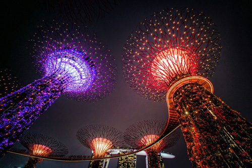 �����񂪂���̍�i