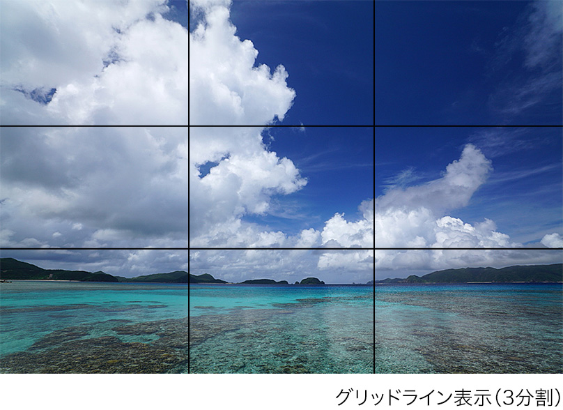 �f�荞�݂����Ŗ��G�̂悤�ɕ\��