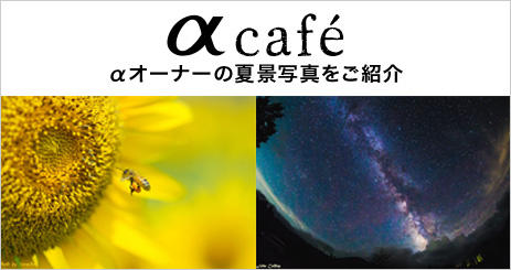 �� cafe