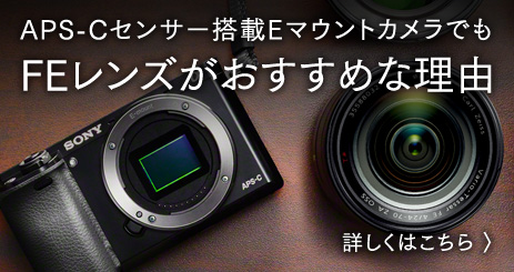 APS-C�Z���T�[����E�}�E���g�J�����ł� FE�����Y���������߂ȗ��R