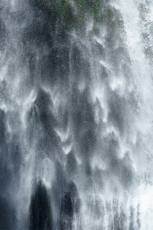 ��7R IV,�@ FE 200-600mm F5.6-6.3 G OSS,�@ 467mm�iAPS-C���[�h700mm�����j,�@ F8,�@ 1/3000�b,�@ ISO1600