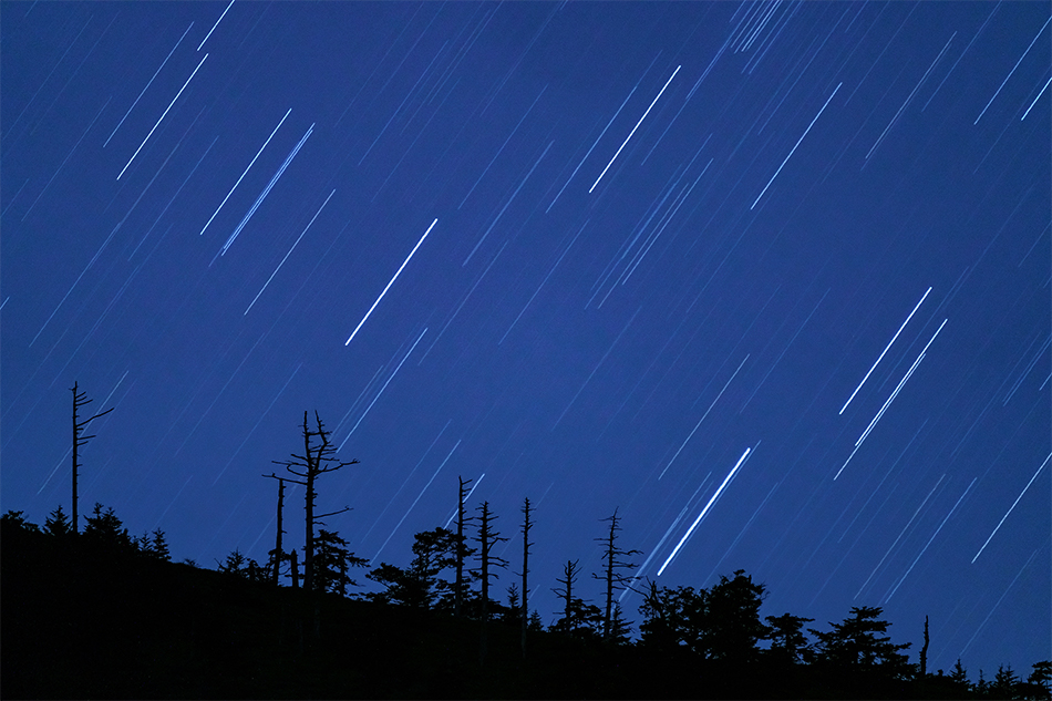 ��7R IV,�@ FE 200-600mm F5.6-6.3 G OSS,�@ 600mm,�@ F6.3,�@ 126�b,�@ ISO2500