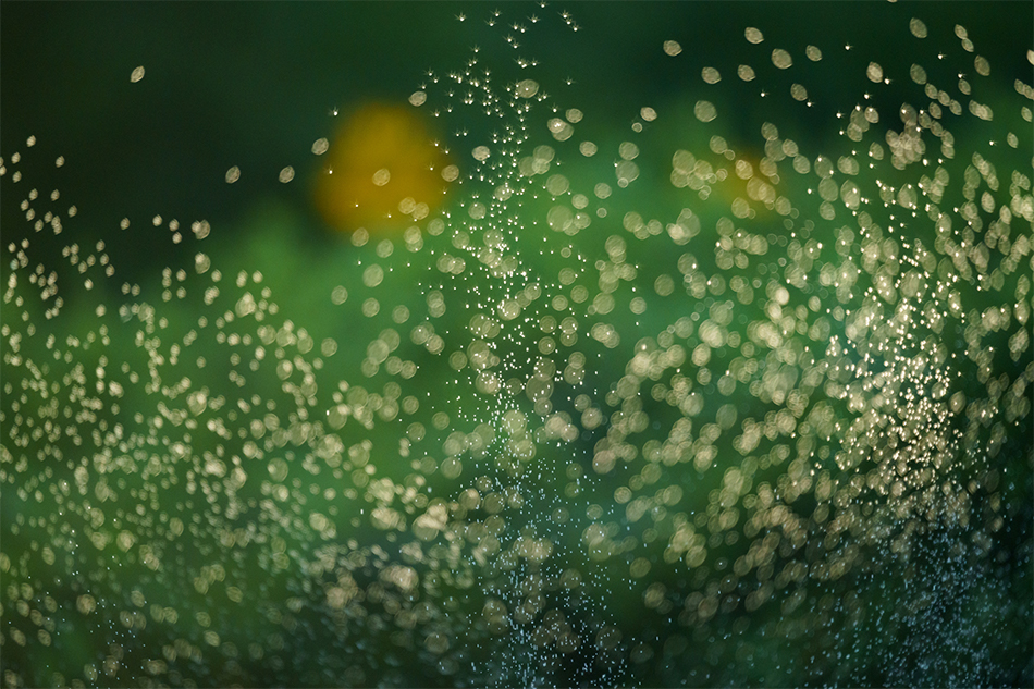 ��7R IV,�@ FE 200-600mm F5.6-6.3 G OSS,�@ 600mm,�@ F6.3,�@ 1/1000�b,�@ ISO3200