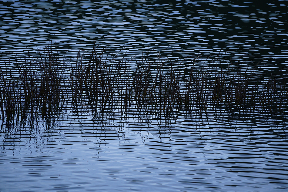 ��7R III,�@ FE 70-200mm F4 G,�@ 200mm,�@ F4,�@ 1/1000�b,�@ ISO400