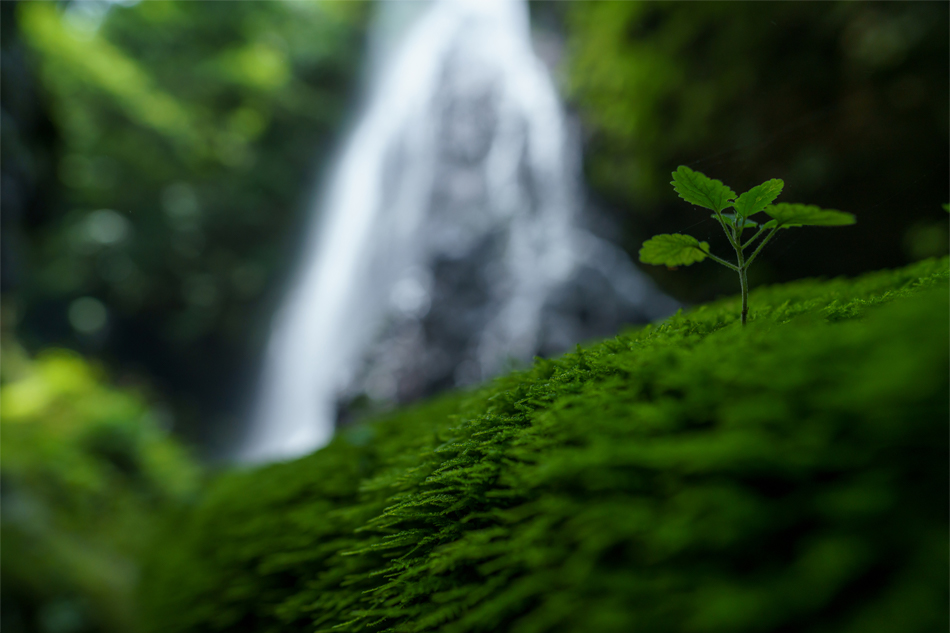 ��7R IV,�@ FE 24mm F1.4 GM,�@ 24mm,�@ F2.4,�@ 1/500�b,�@ ISO400