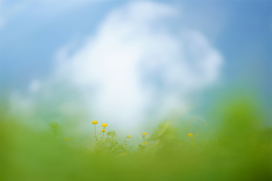 ��7R IV,�@ FE 135mm F1.8 GM,�@ 135mm�@ F1.8,�@ 1/1000�b,�@ ISO200