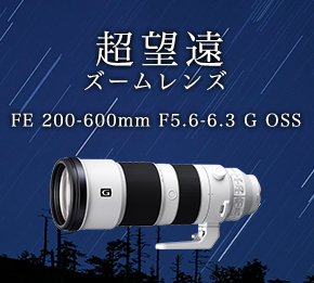 ]Y[Y FE 200-600mm F5.6-6.3 G OSS