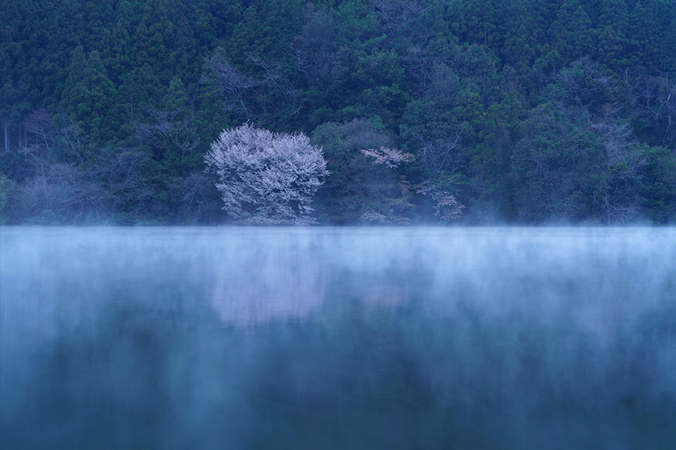 ��7R III,�@ FE 70-200mm F2.8 GM OSS,�@ 84mm,�@ F11,�@ 1�b,�@ ISO400