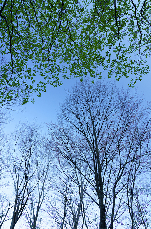 ��7R IV,�@ FE 24-105mm F4 G OSS,�@ 24mm,�@ F11,�@ 1/90�b,�@ ISO800